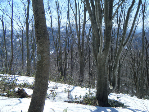 180330futatumori-010