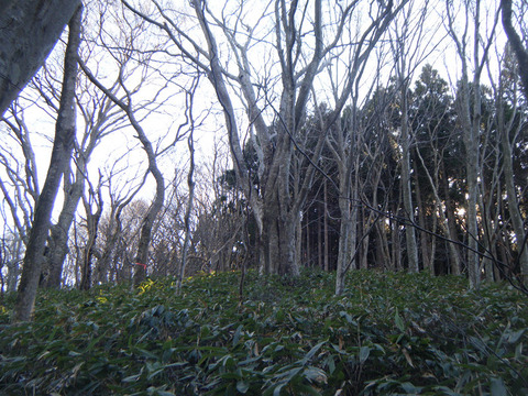 211203hiratayama-003