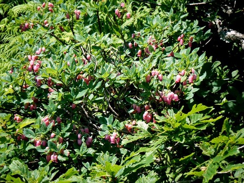 170708kawarajuku-005