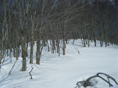 190222kopmasudayama-101