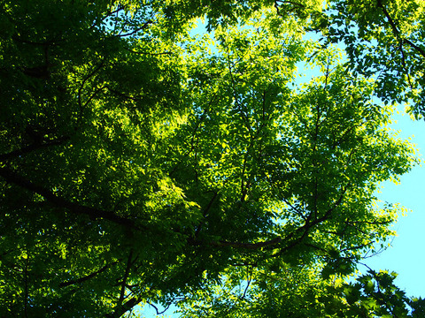 200508takadateyama-007