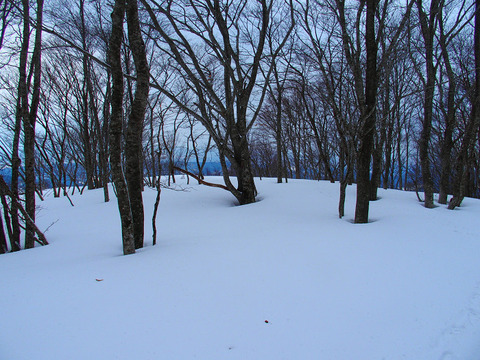 190222kopmasudayama-107