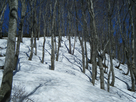 180330futatumori-007