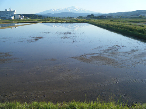 260525soba184-005