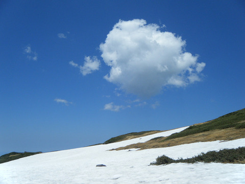 200531syougatake-006