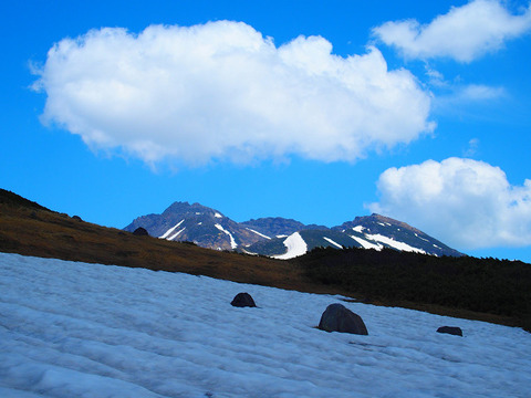 200531syougatake-009