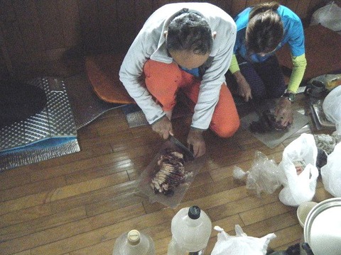 210904sinokumakai-002