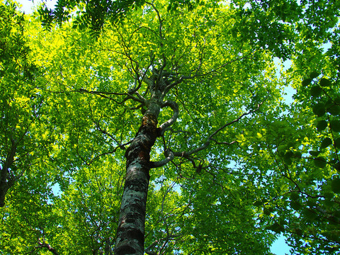 160520 00nagiyama-020