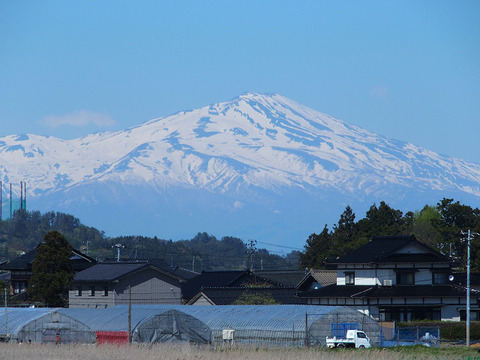 200508takadateyama-010