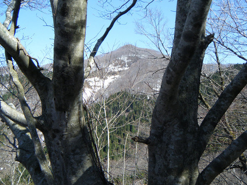 180330futatumori-003