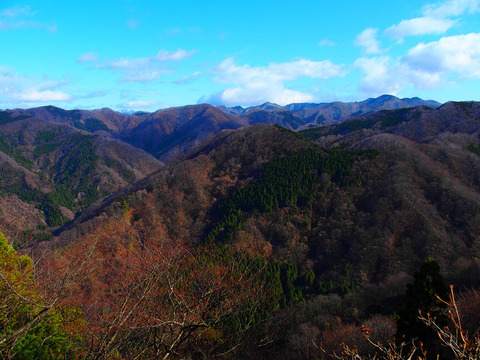 161126 kyogakura-009