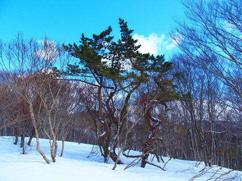 190222kopmasudayama-113