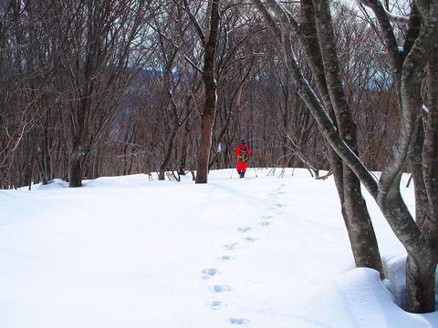 190222kopmasudayama-112