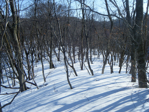 190222kopmasudayama-100