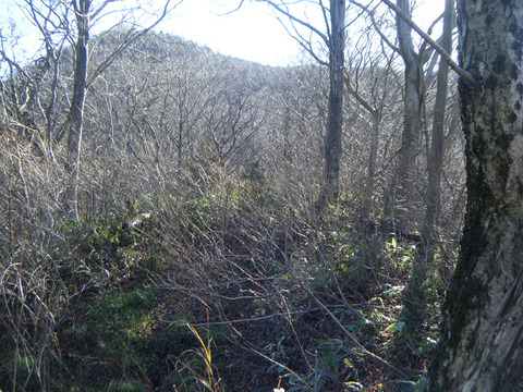 211203hiratayama-000