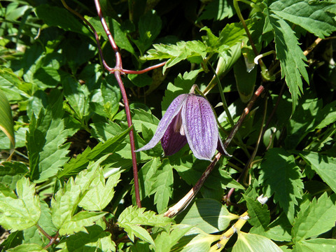 170708kawarajuku-004