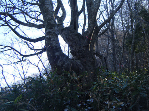 211203hiratayama-006