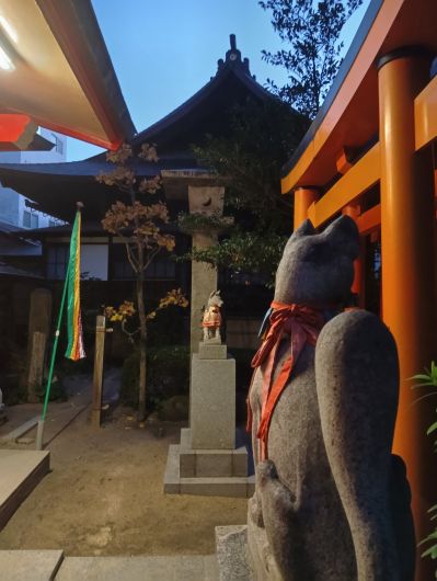 251218065511114-6��55ʬ