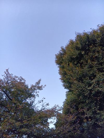 251107065649637-6»þ56ʬ