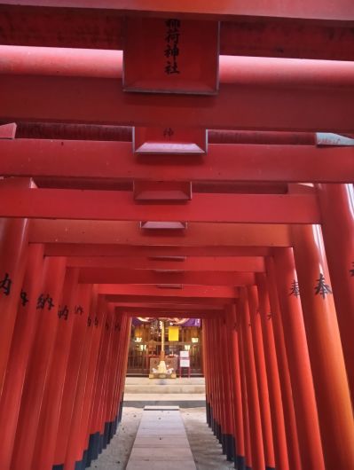 260127072012819-��������ʬ