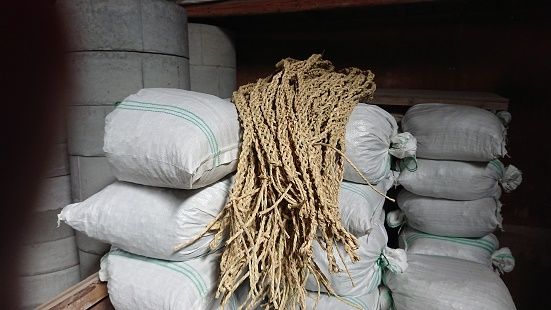 0b4ab34f