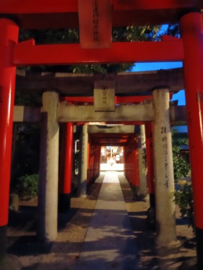 251020060453484-6»þ4ʬ