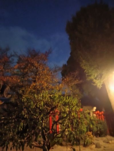 251205062512879-6��25ʬ�ݰ��̷�ƻ���