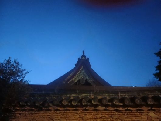 260116064651664-6��46ʬ