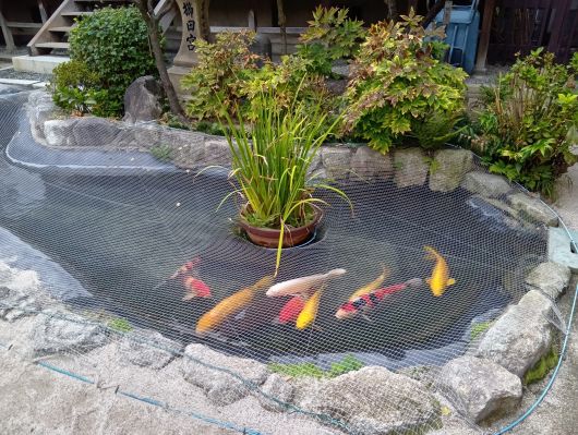 251012065836244-6»þ58ʬ