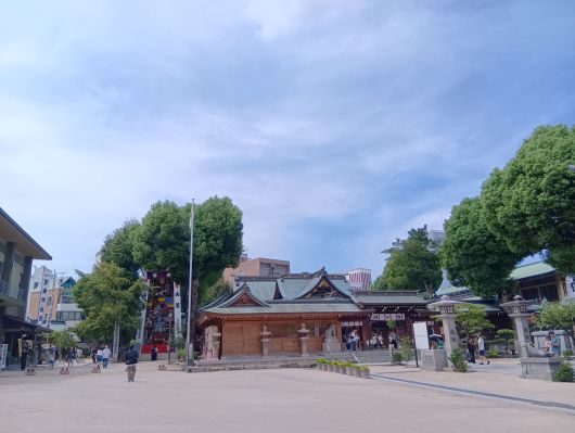 250914114349353-11»þ43ʬ