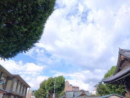 250911074845654-7»þ48ʬ