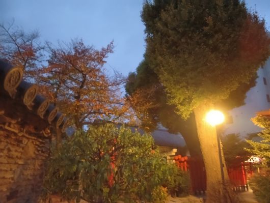 251203065027681-6��50ʬ