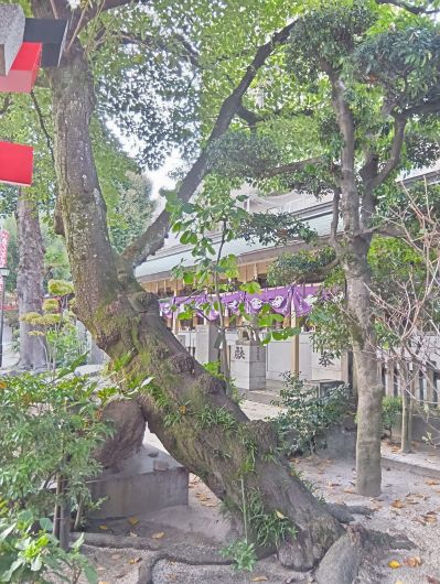 251027072743055-7»þ27ʬ