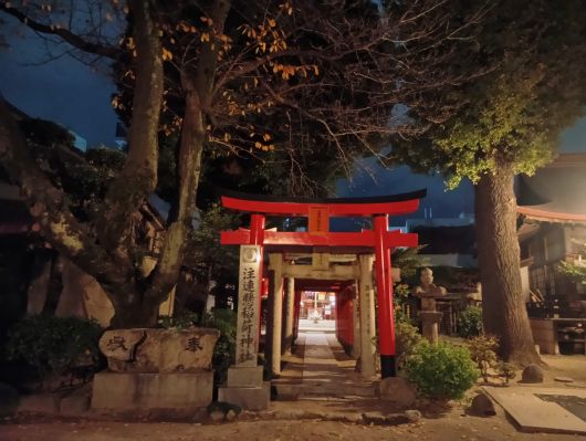 251215061614416-6��16ʬ