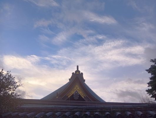 251231074331792-7��43ʬ