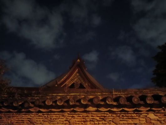 260117062605820-6��26ʬ