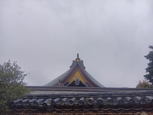 251022071800568-7»þ18ʬ