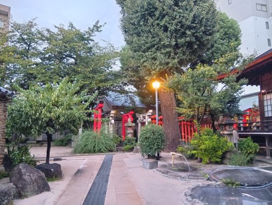 251005061104143-6»þ11ʬ