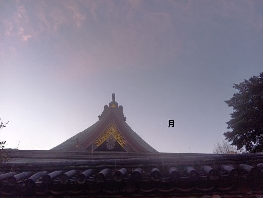 260114072206371-7��22ʬ