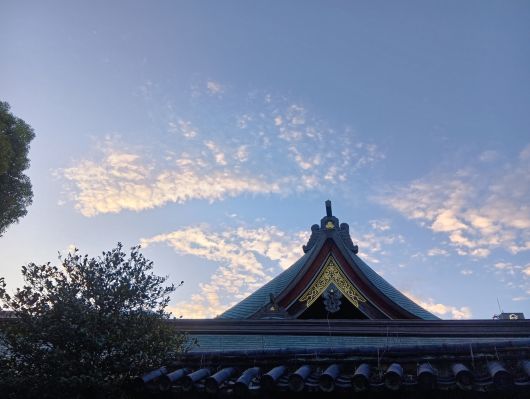 251024064704877-6»þ47ʬ