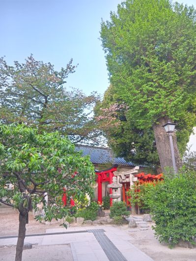 250419063303635-6時13分
