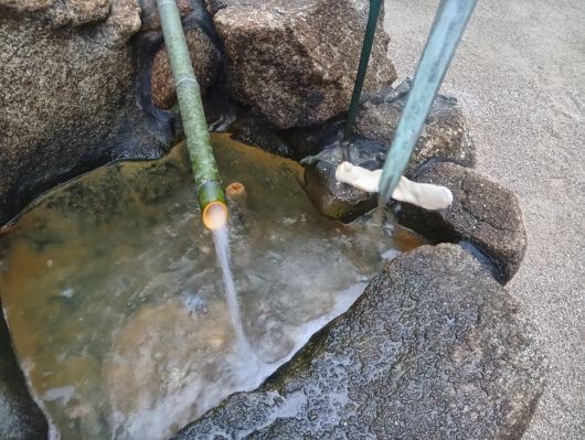 260104075003182-7��50ʬ