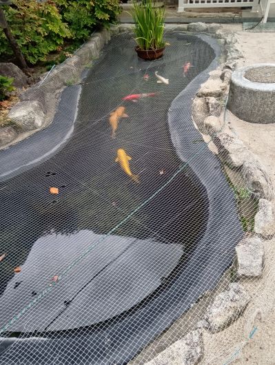 250920063637801-66»þ36ʬ