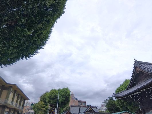 250910073618655-7»þ36ʬ