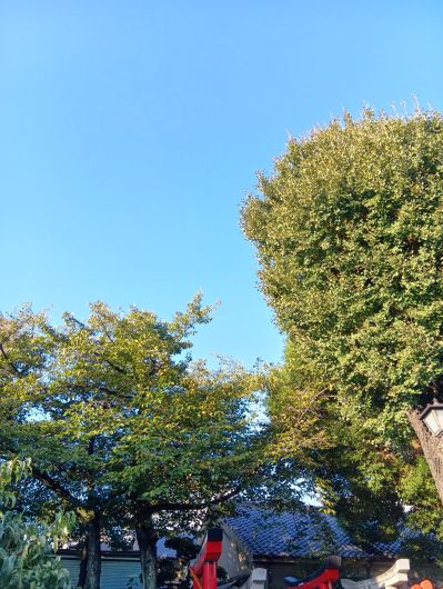 251007073428113-7»þ34ʬ