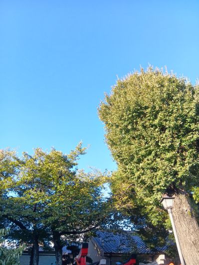 251010073316208-7»þ33ʬ