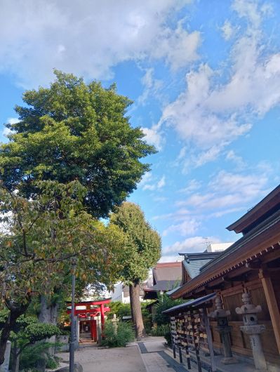 250921071944835-7»þ19ʬ