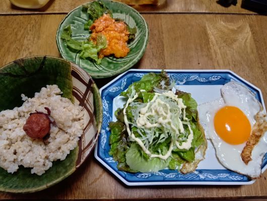 250923050421606-23Æü5»þ4ʬ