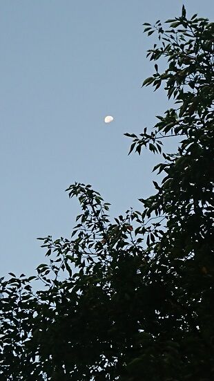 DSC_0037-6時12分