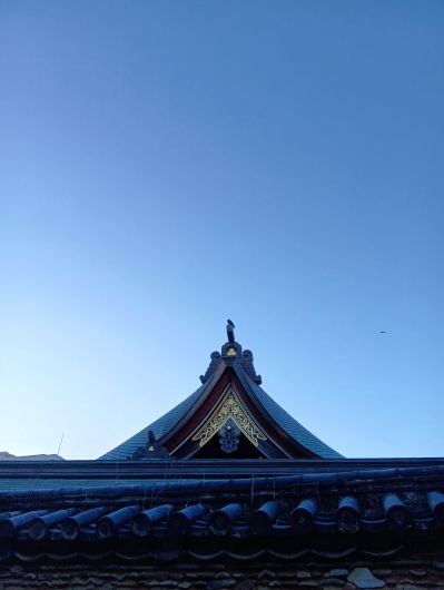 251029071025191-7»þ10ʬ